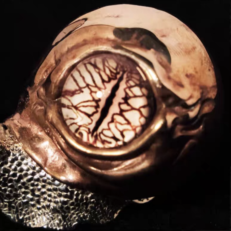 Brass Fidget Toy – Cthulhu Eye Snail Figurine with /Copper Desk Sculpture detail image - detail view 5