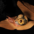 Brass Fidget Toy – Cthulhu Eye Snail Figurine with /Copper Desk Sculpture product image