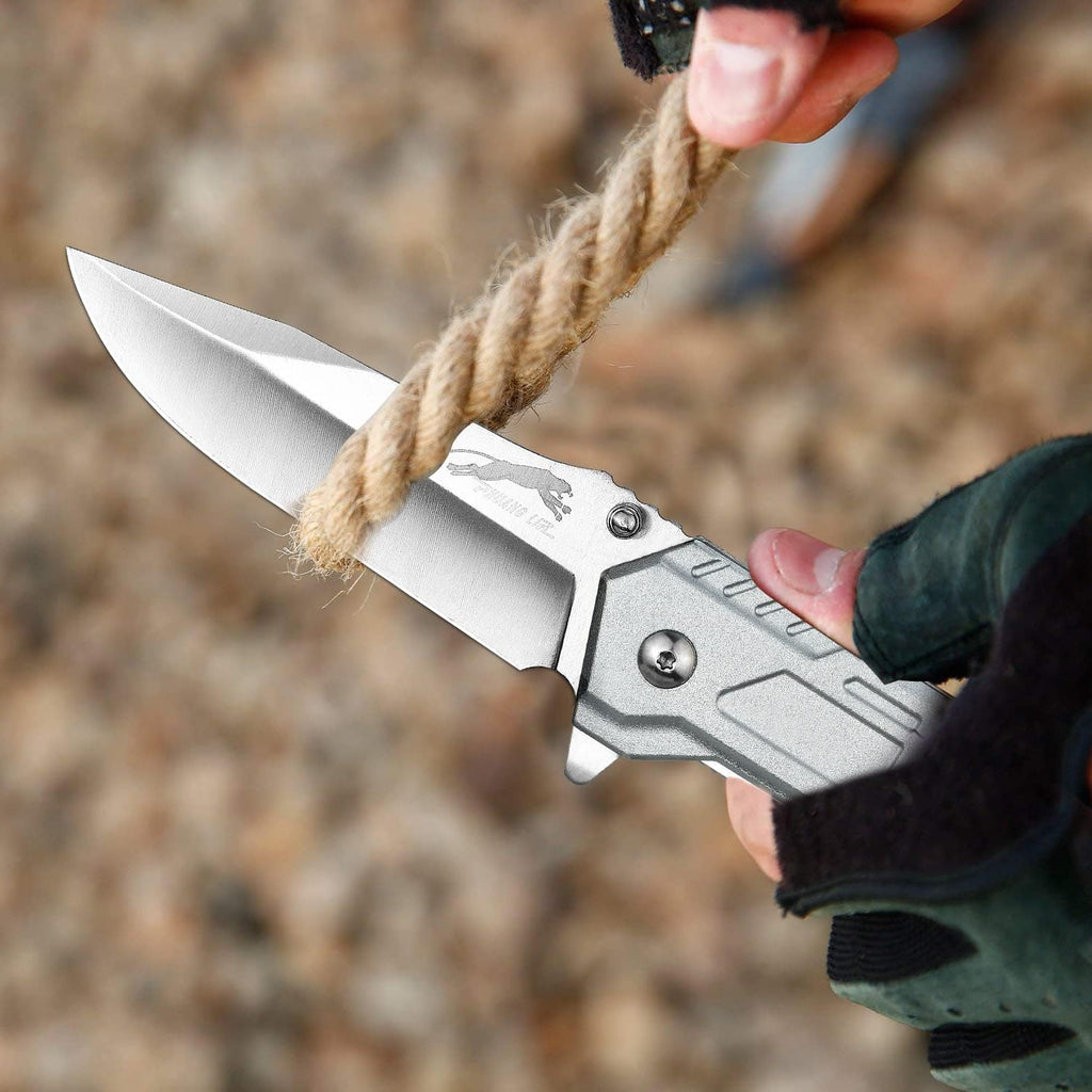 Stainless Steel Folding Knife – Leopard's Edge Multipurpose Pocket detail image - detail view 9
