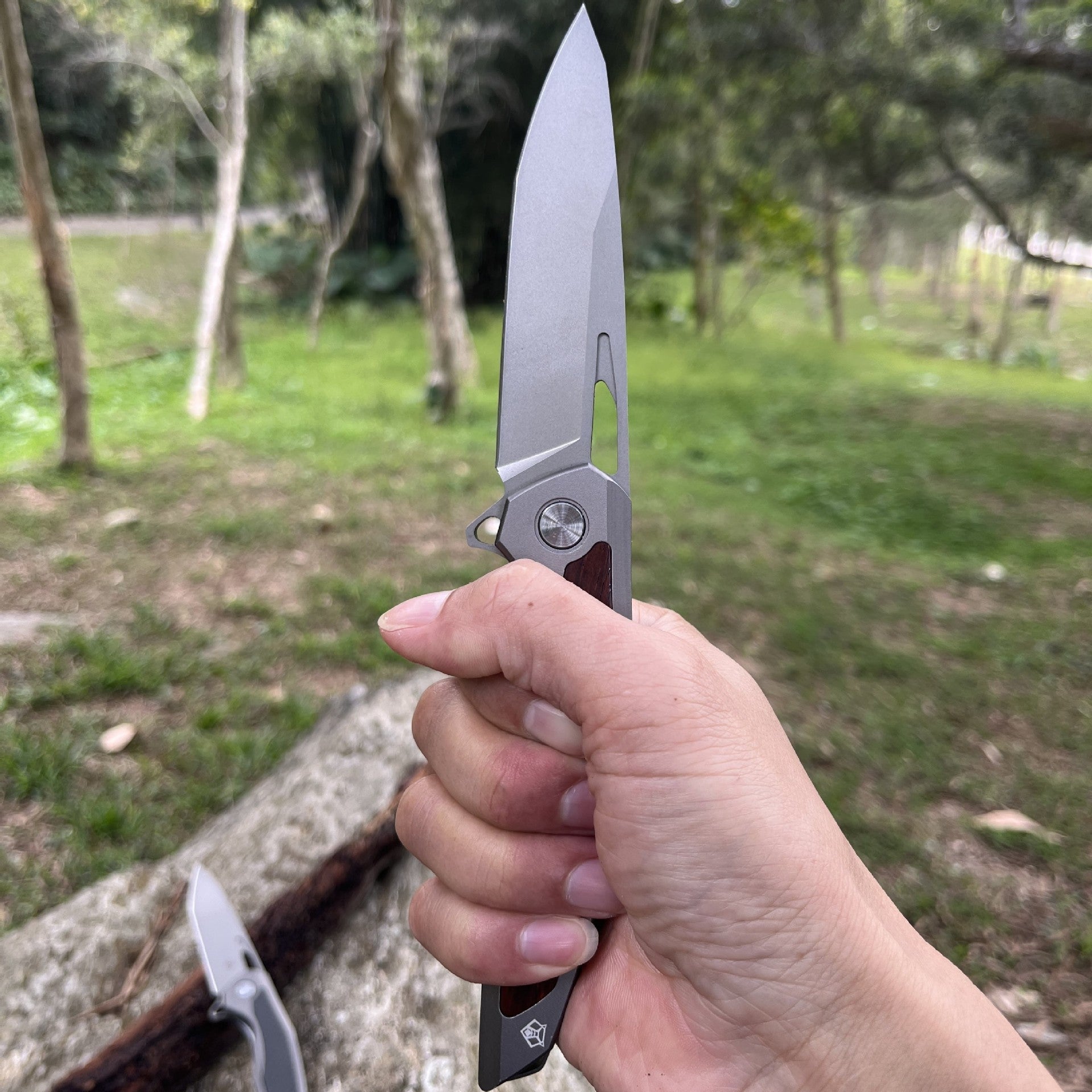 Steel Folding Knife – Razor-Edge Bear Claw D2 with Carbon Fiber & Rosewood Options detail image - detail view 6